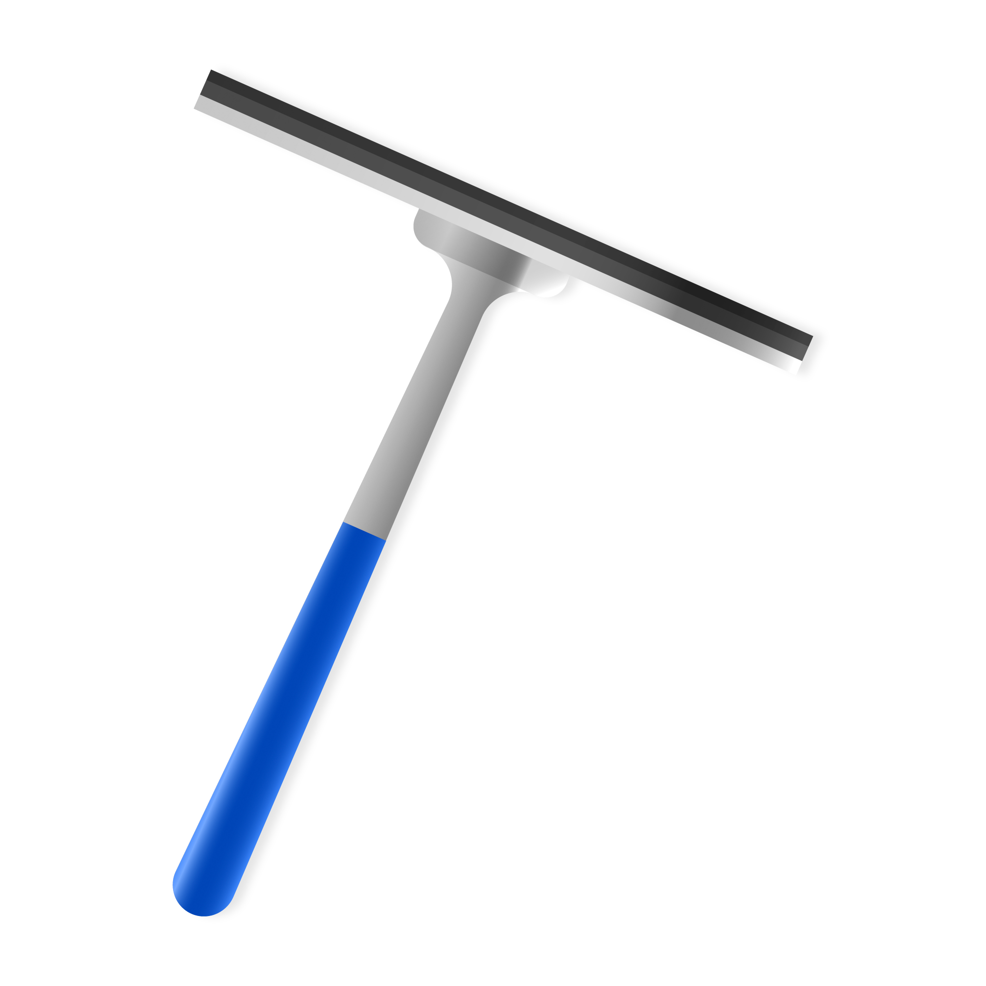 Bulb